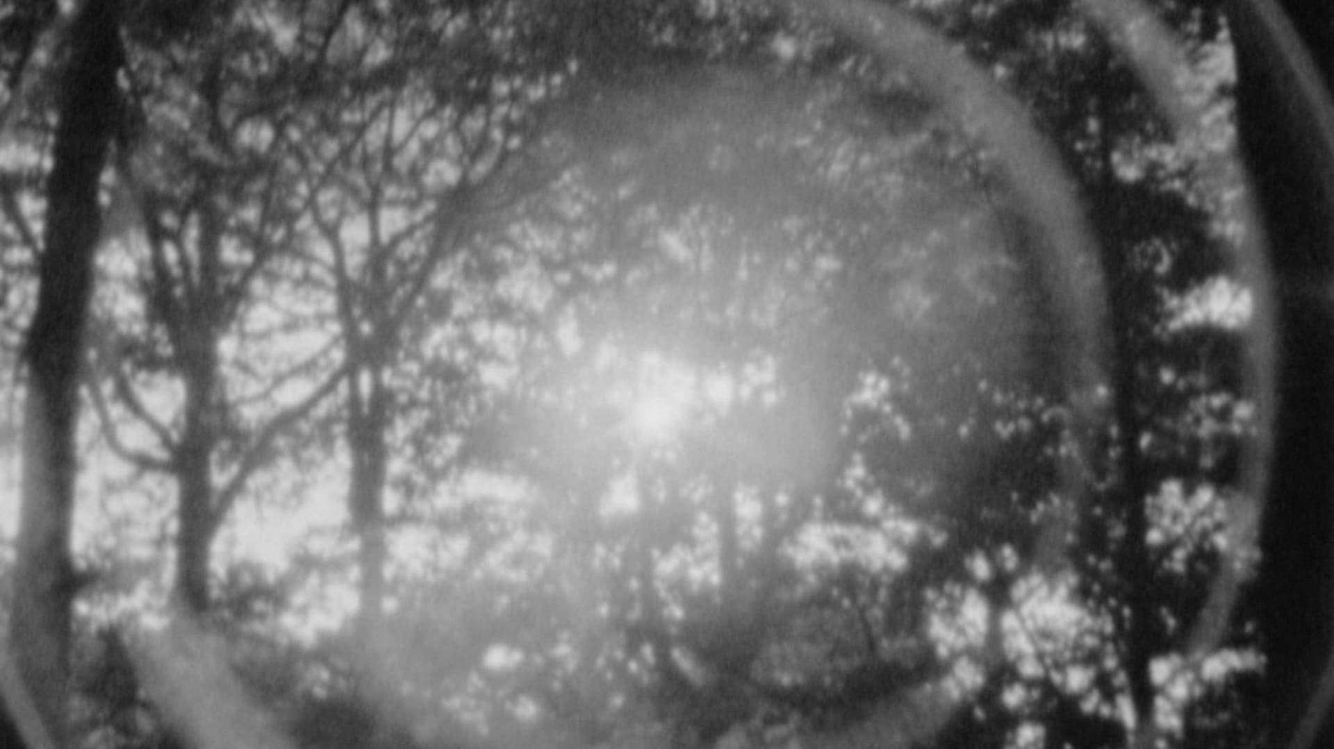 La Marche de Paris à Brest