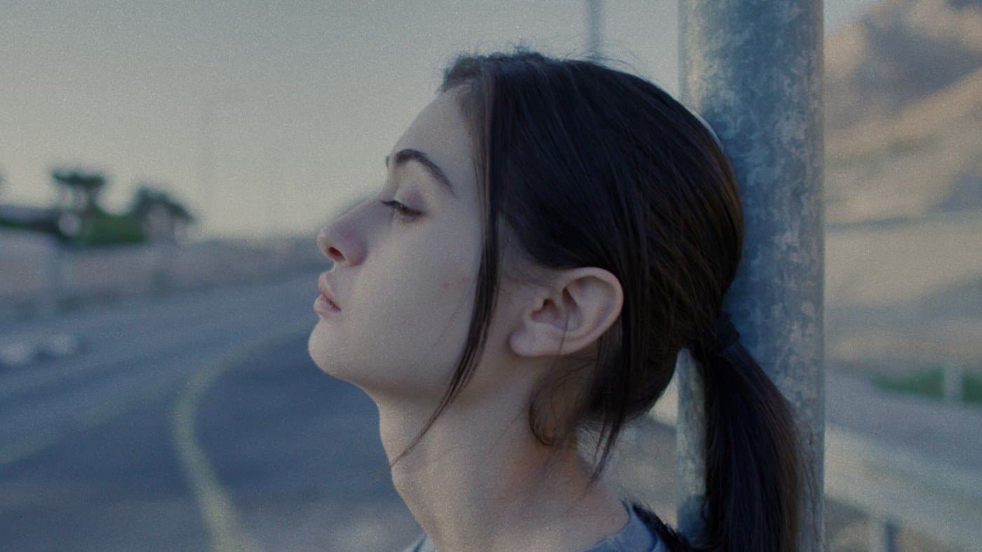 על כלבים ואנשים