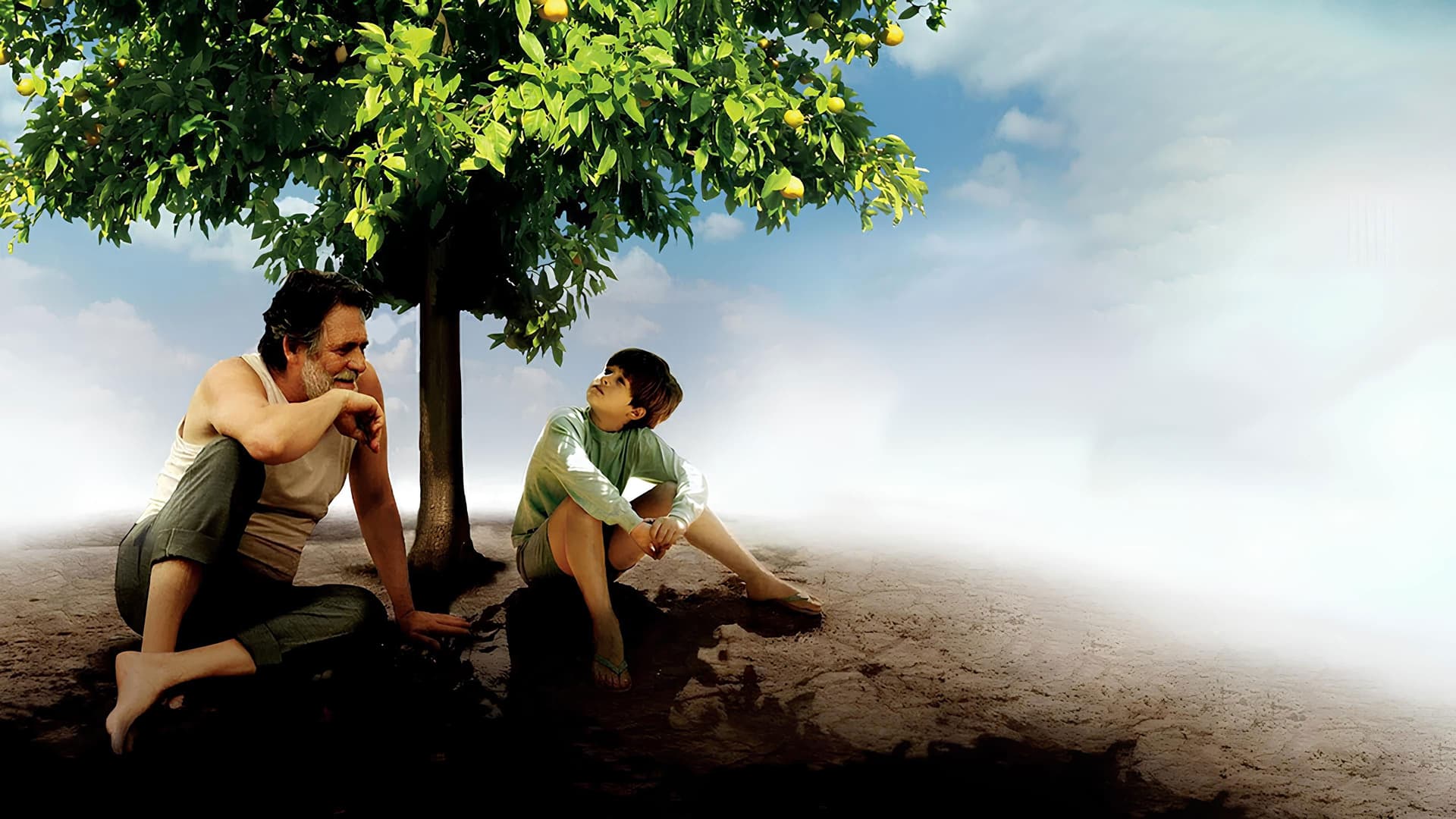 Meu Pé de Laranja Lima