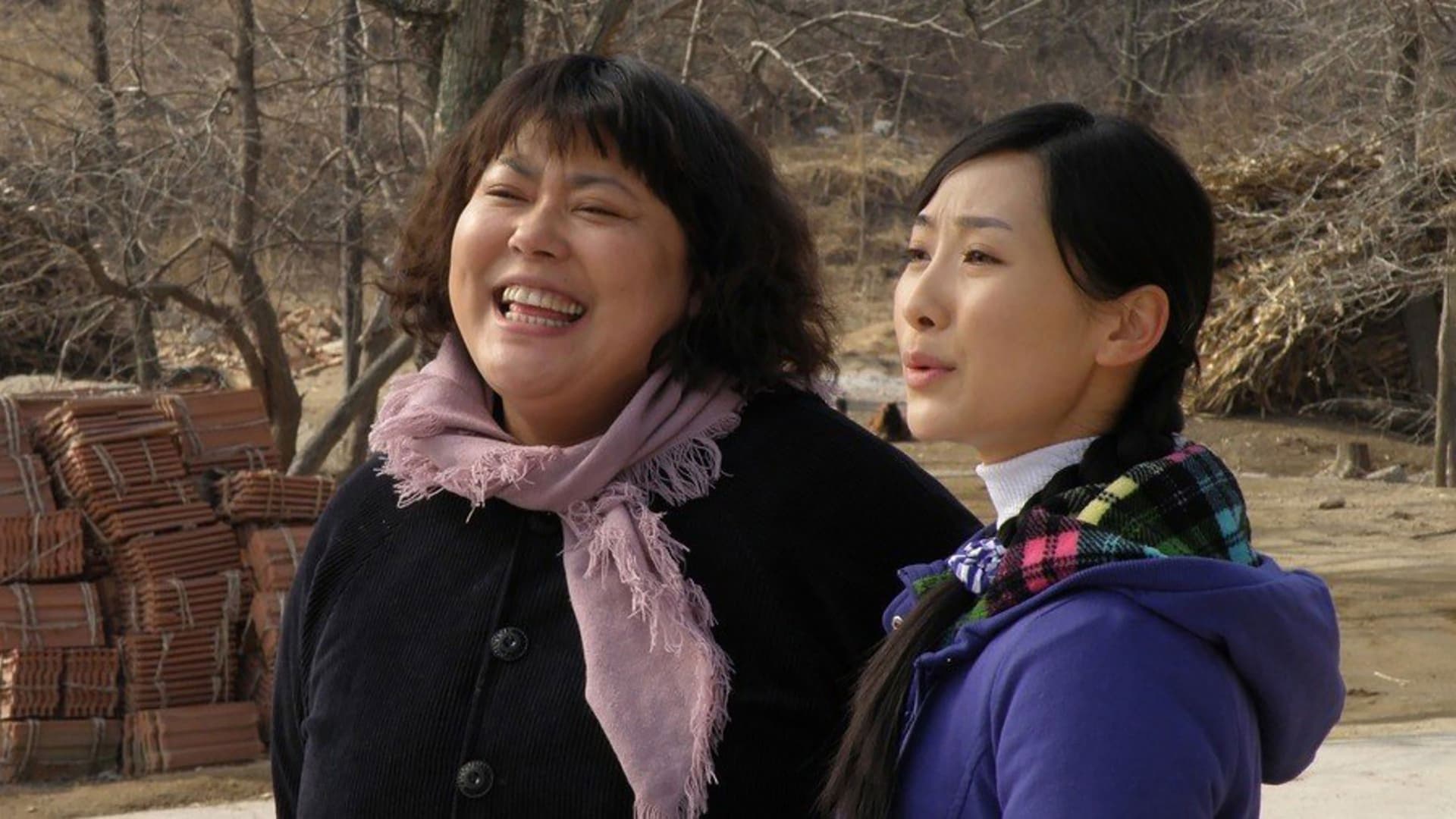 宝乐婶的烦心事