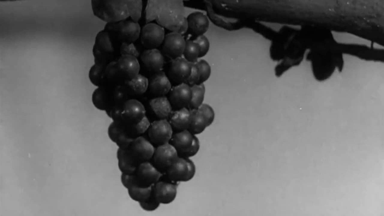 Лиса и виноград