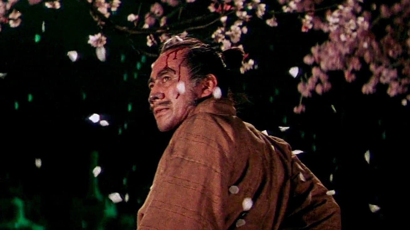 或る剣豪の生涯