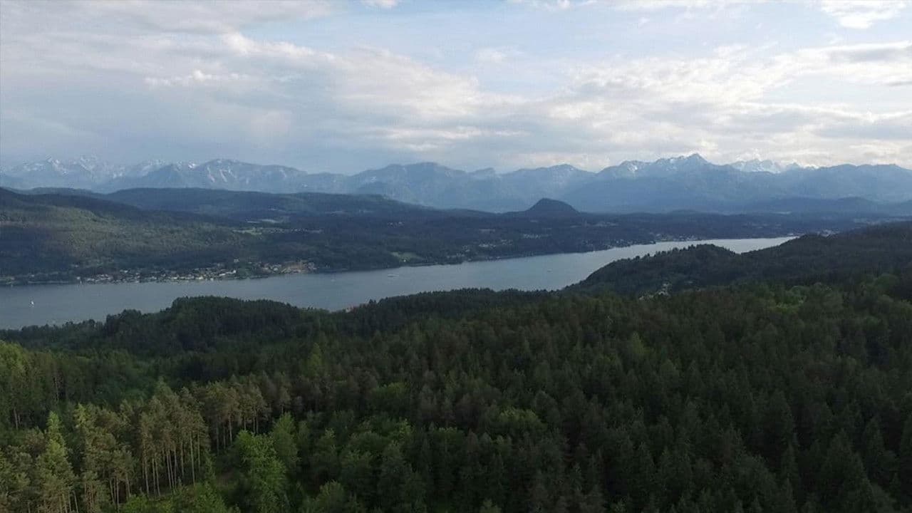 Sie singen nur für ihn