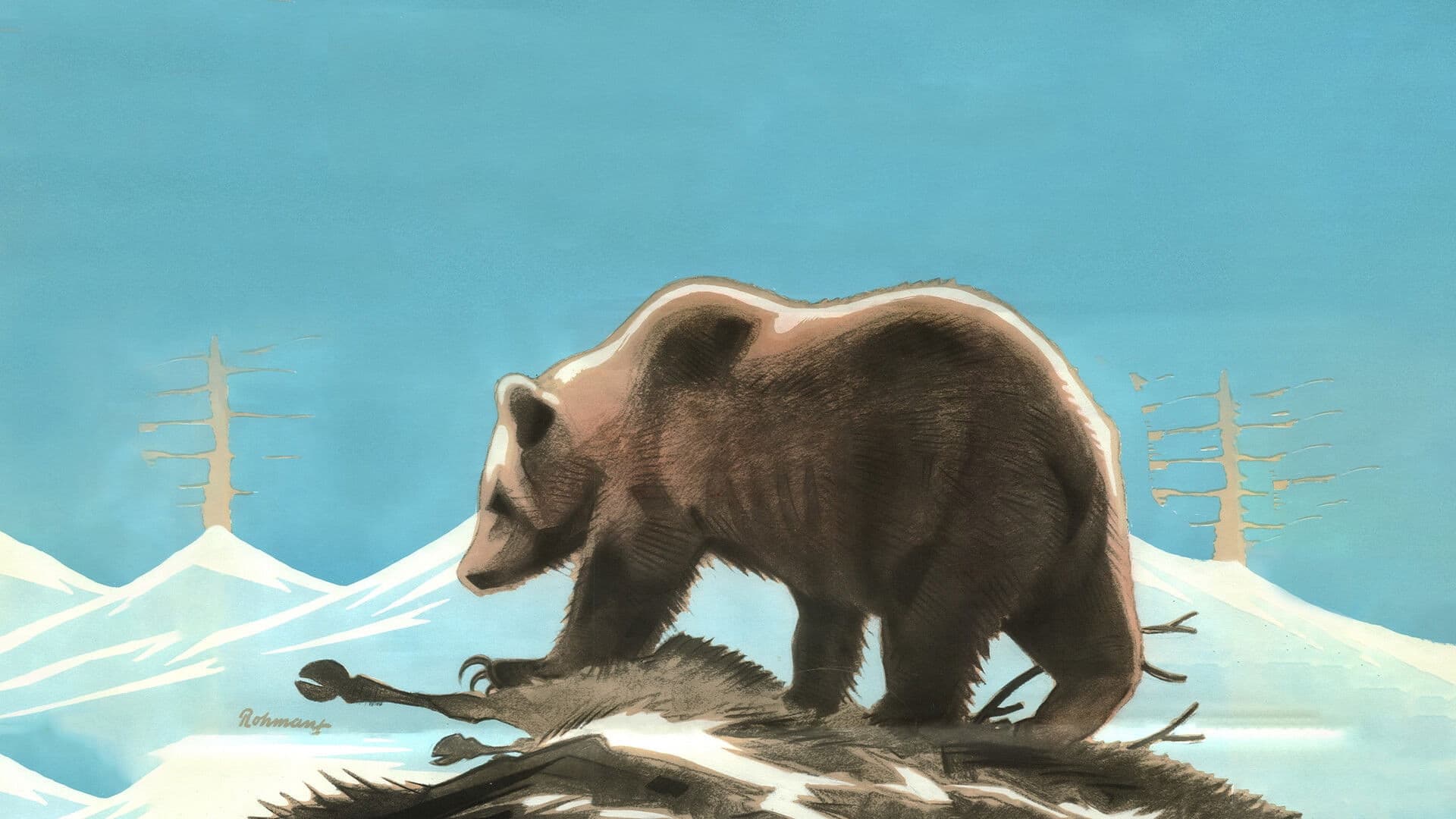 I lapplandsbjörnens rike