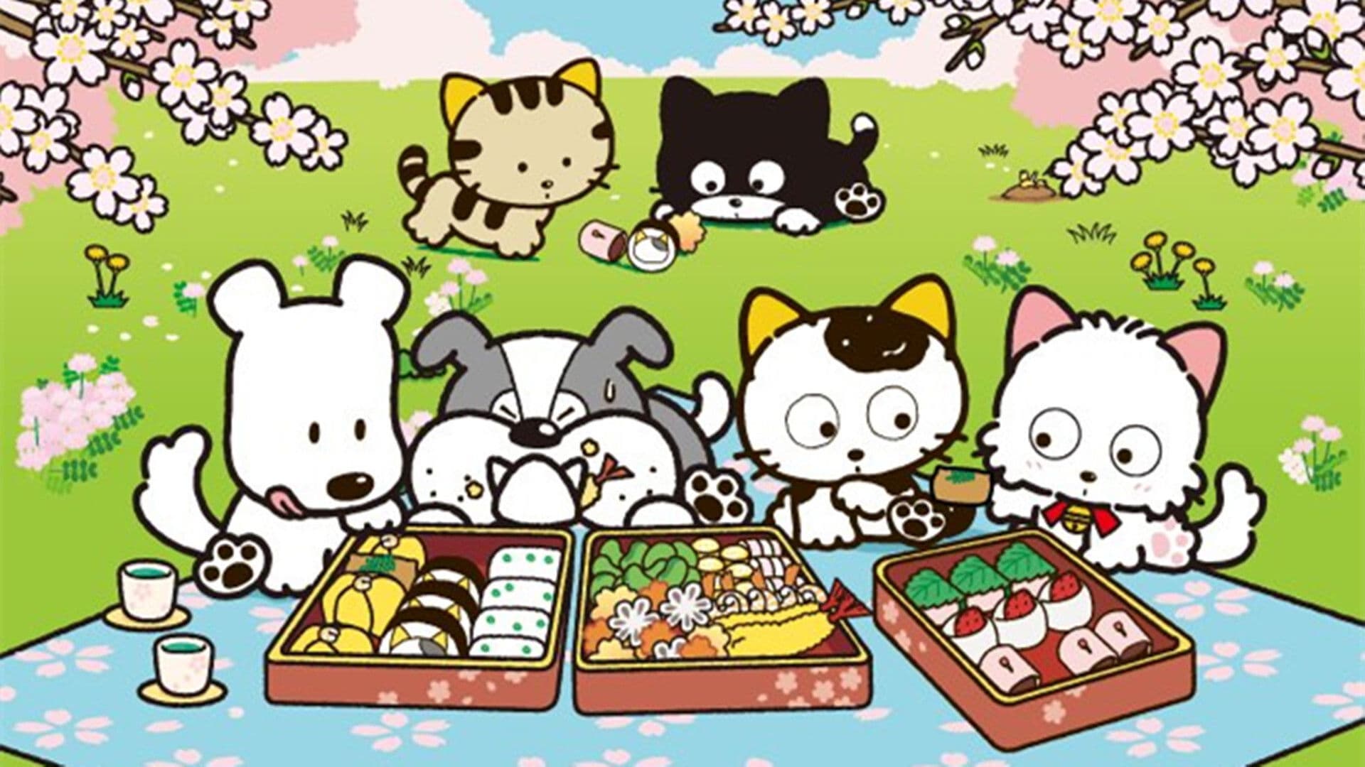 3丁目のタマ うちのタマ知りませんか？