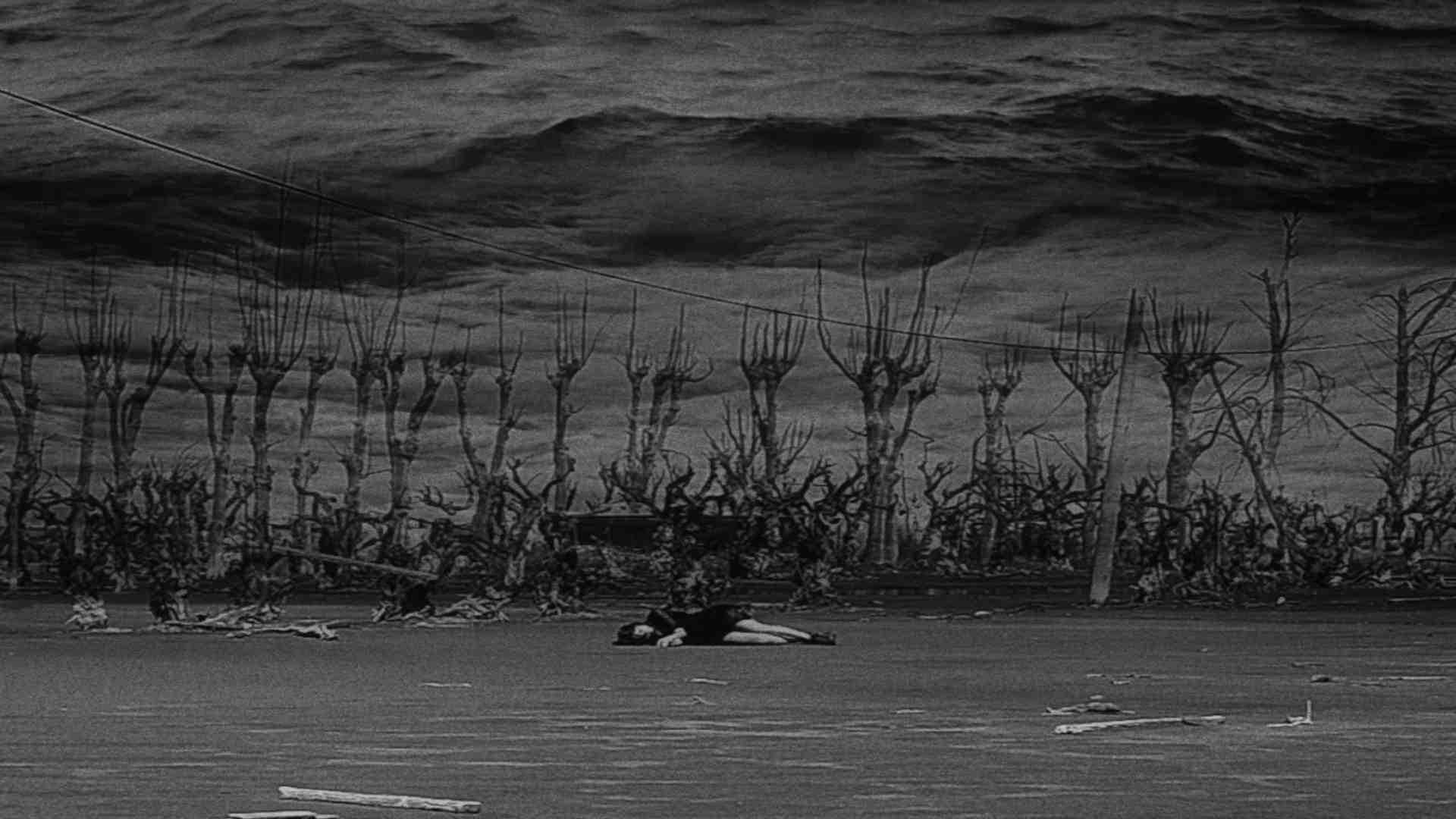 Le Vortex Monopolaire