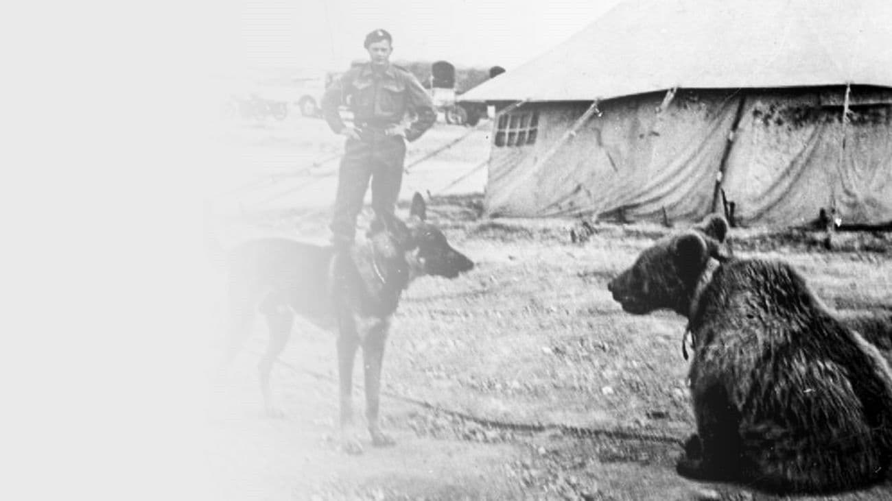 Piwko dla niedźwiedzia!