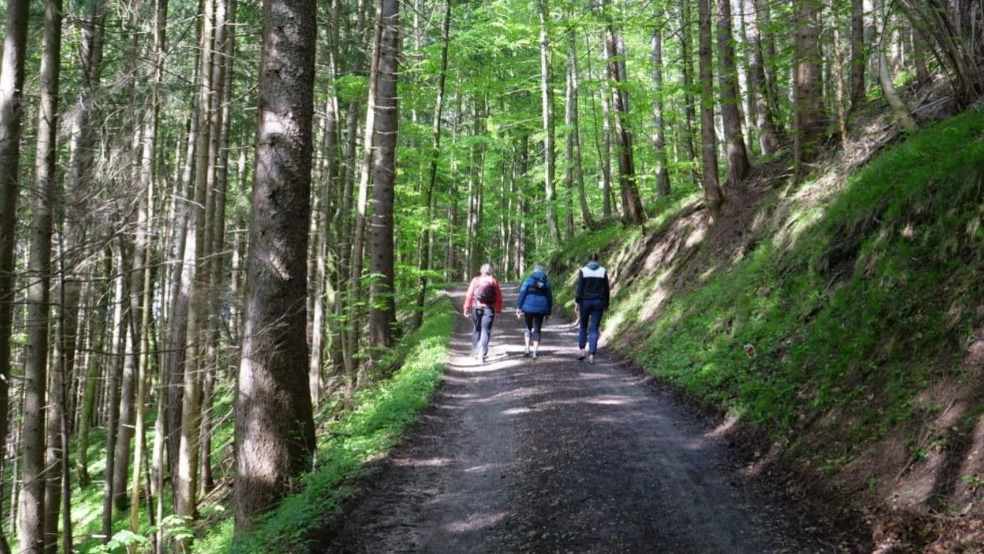 Gehen: Wundermittel fur Korper und Seele