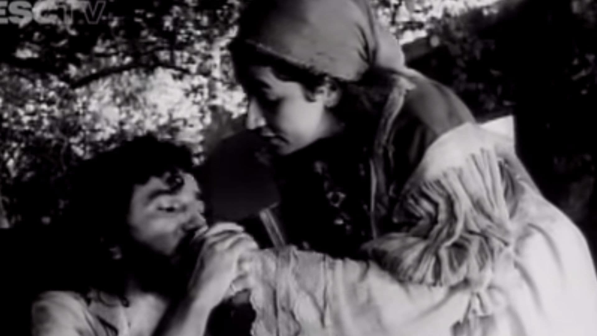 A Árvore da Miséria