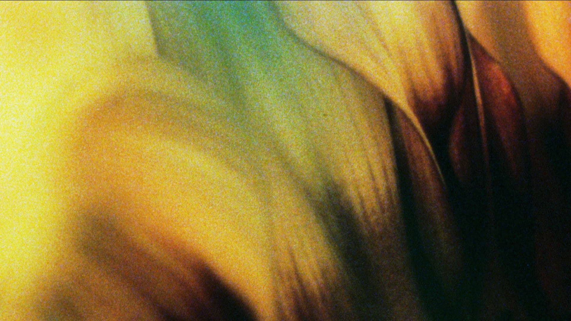 Glide of Transparency