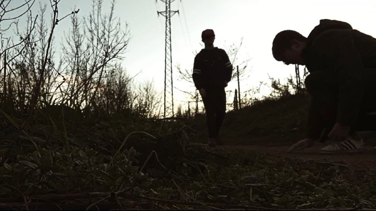 2 Tontos & 1 Pistola