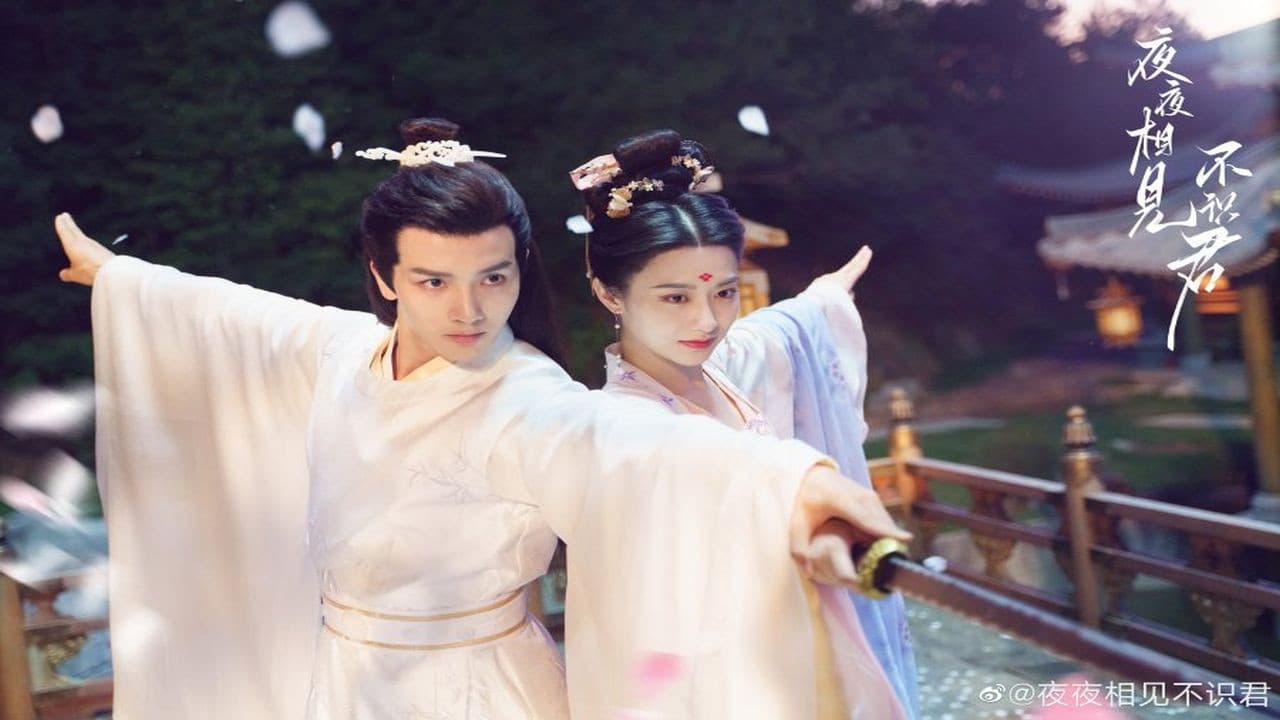 夜夜相见不识君