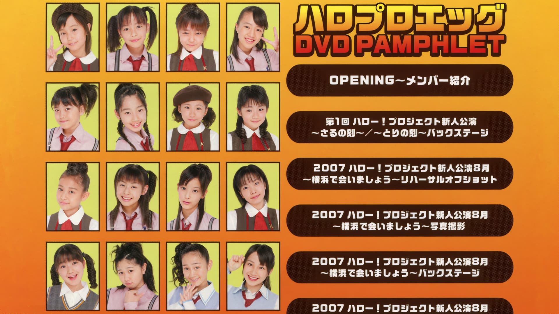 ハロプロ エッグ DVD Pamphlet