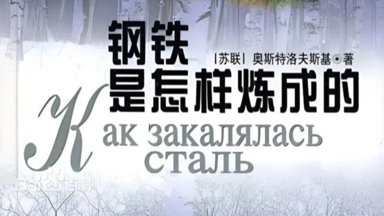 钢铁是怎样练成的