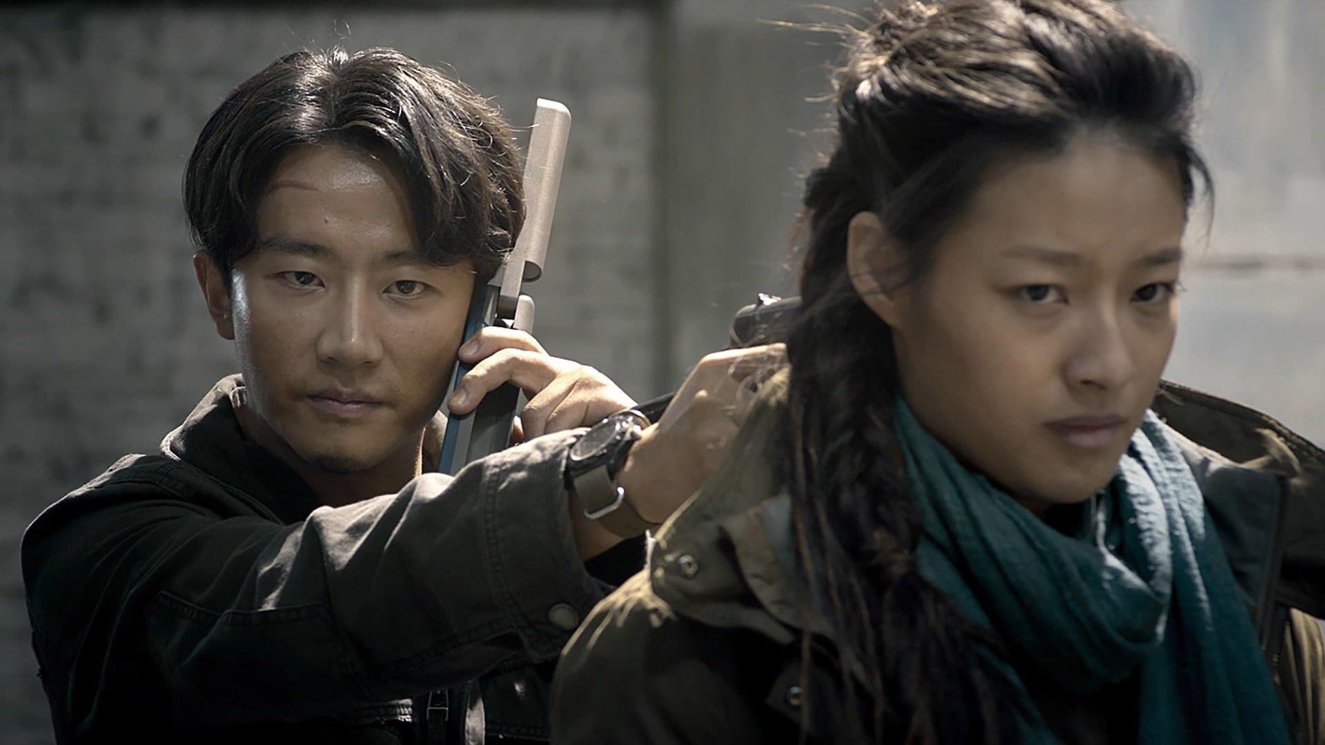 Misiune sub acoperire