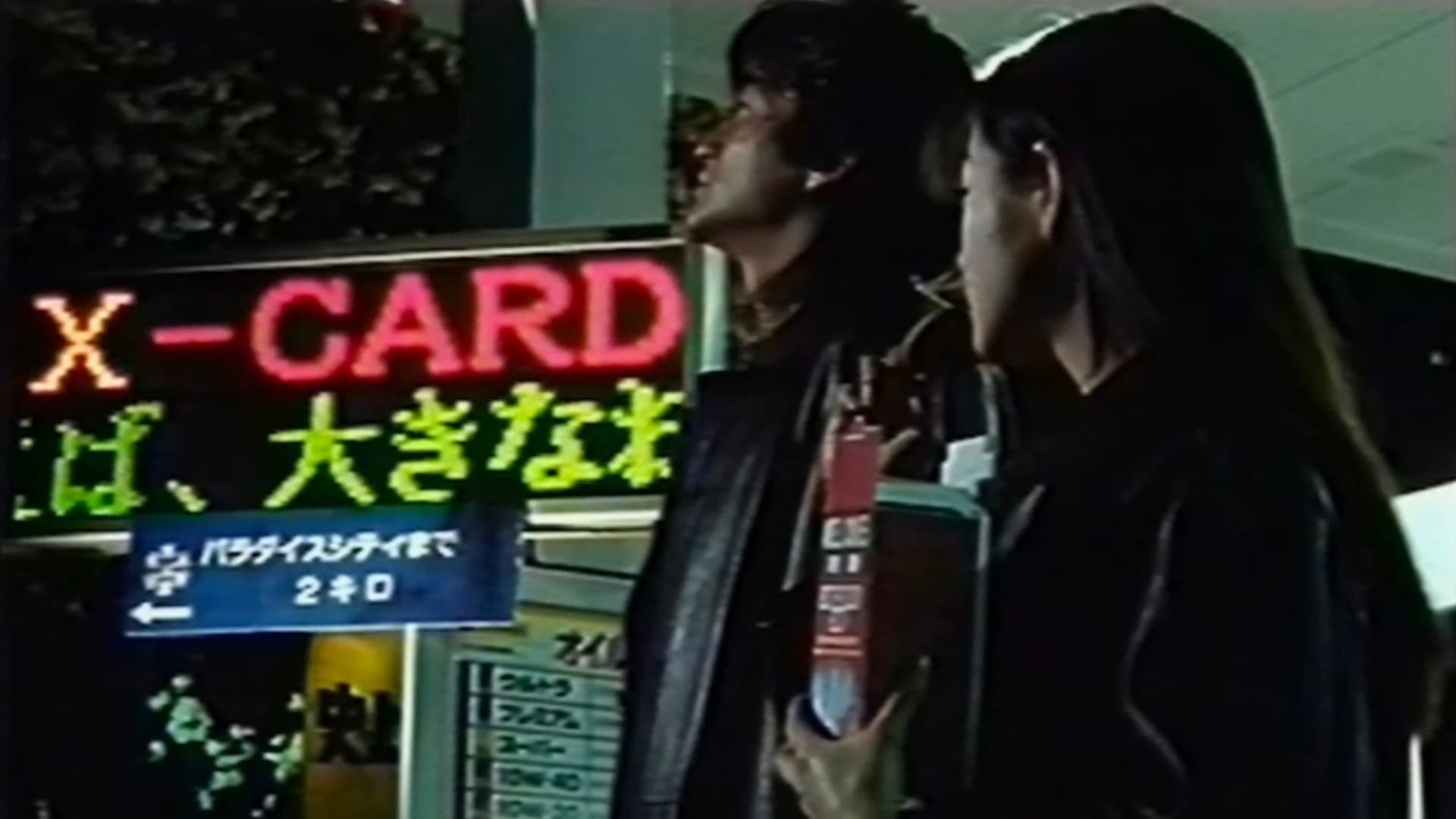 SLANG 黄犬群