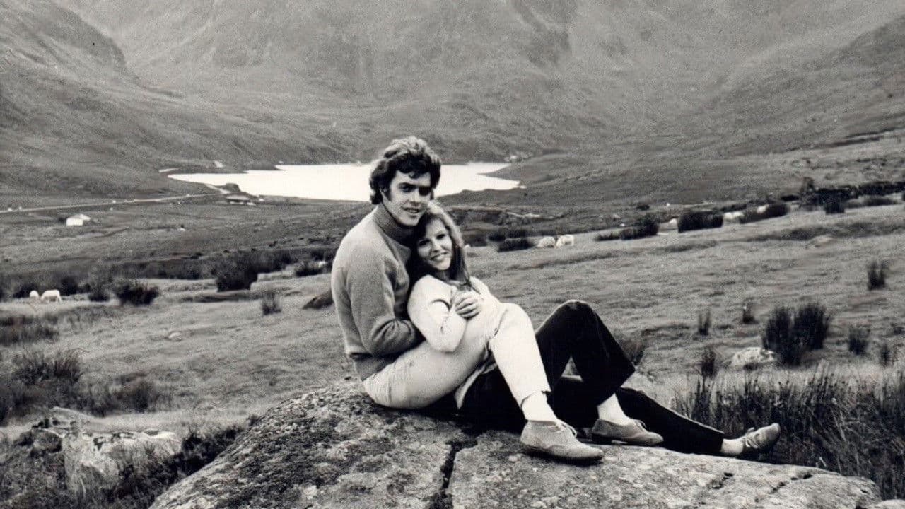 Un'estate con sentimento