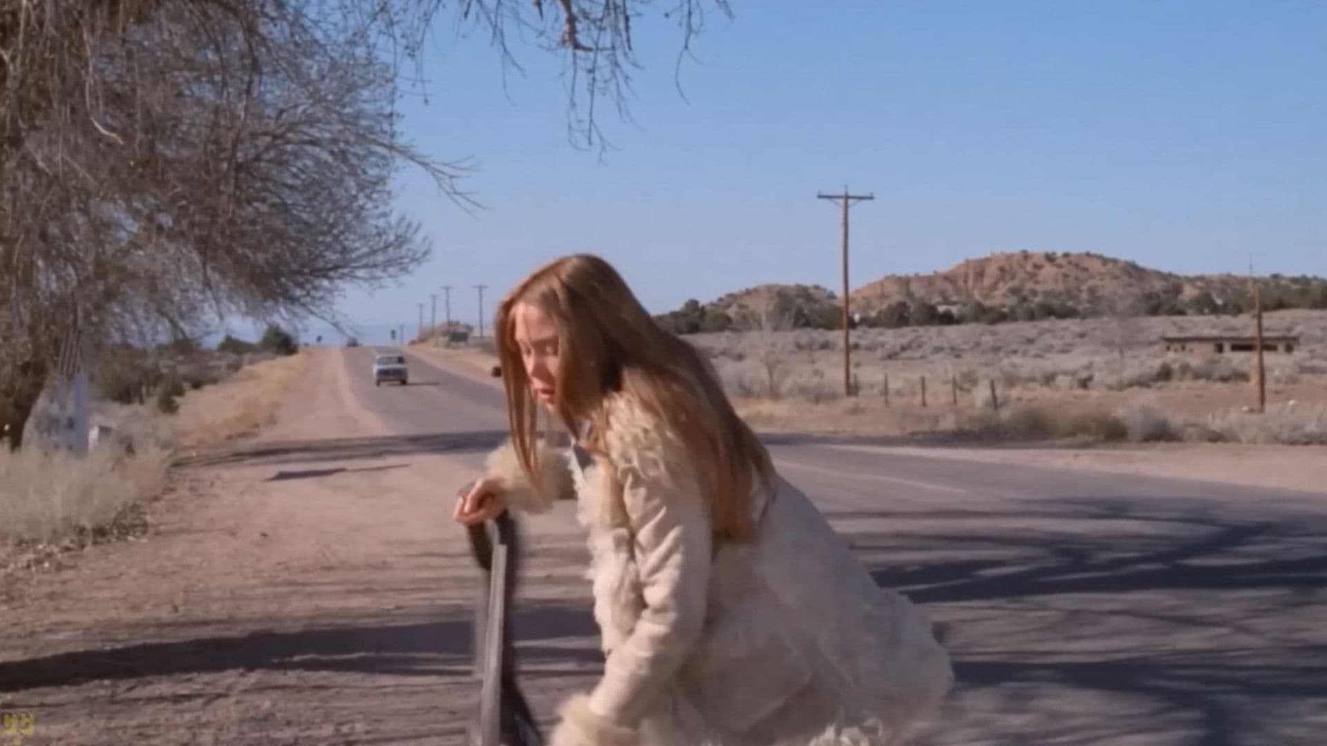 Ginger in the Morning