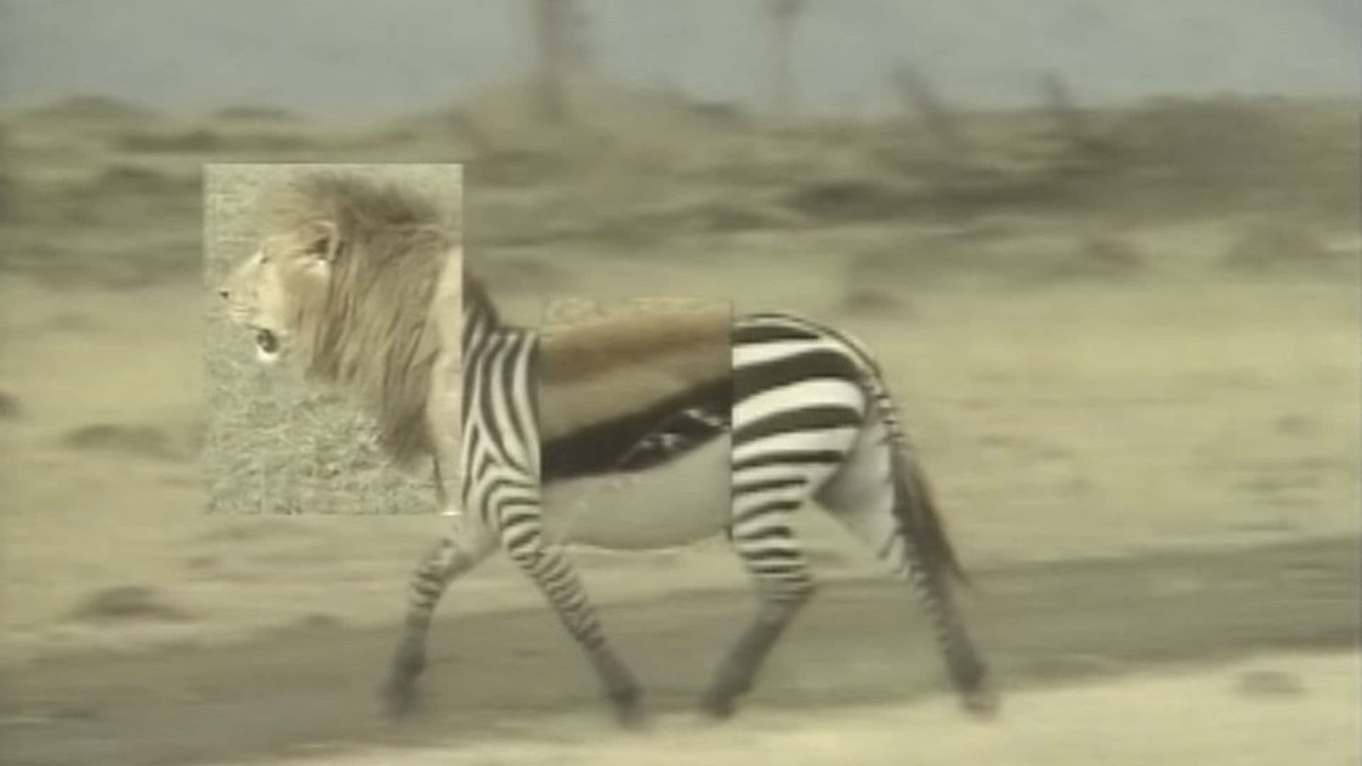 アフリカ動物パズル