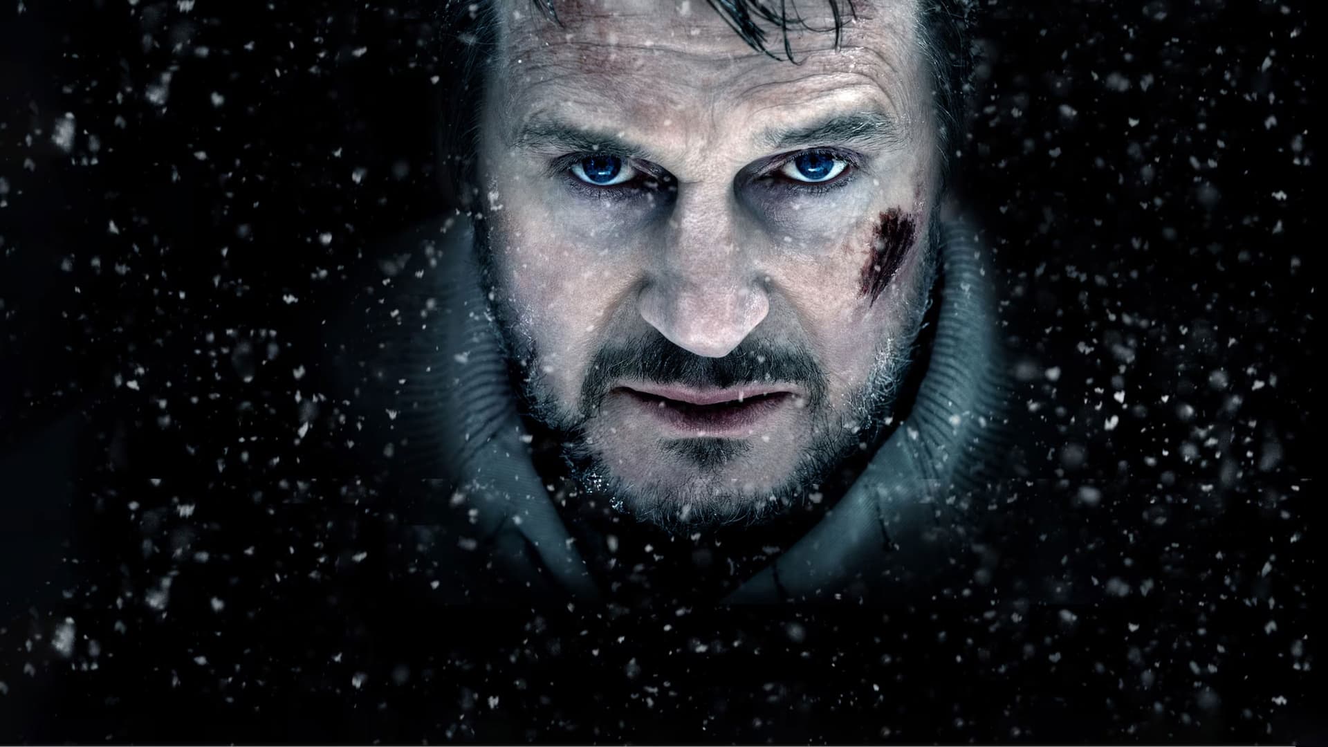 The Grey: La limita supraviețuirii