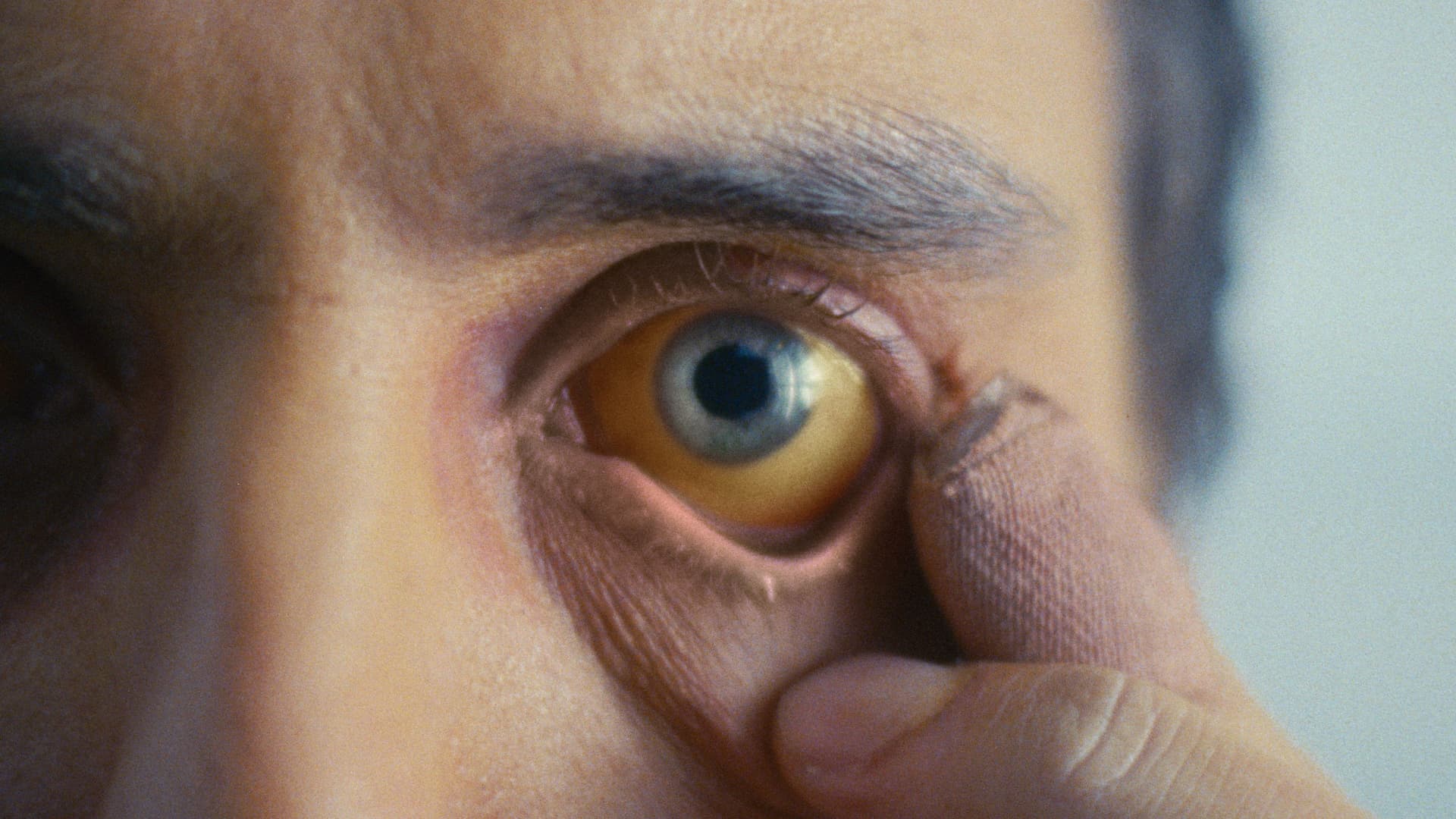 What We Wished We Could Be