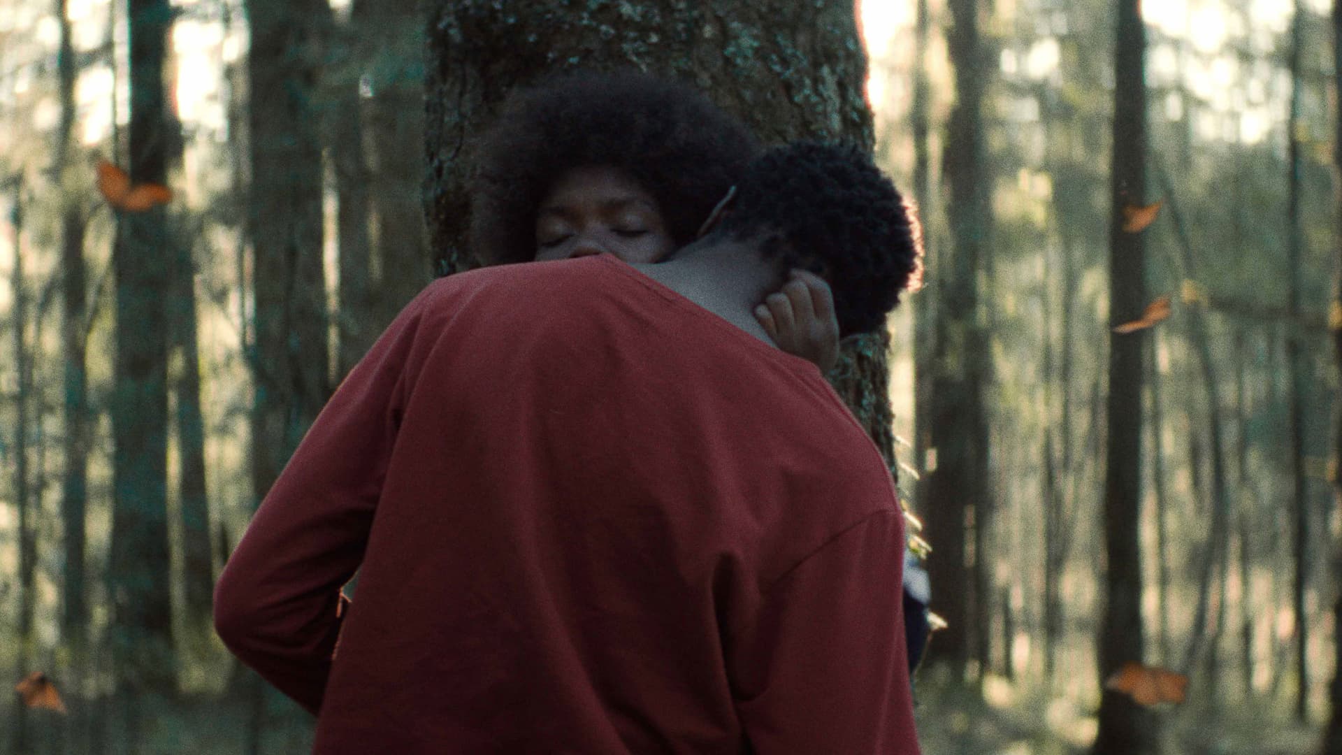 El jardín que soñamos