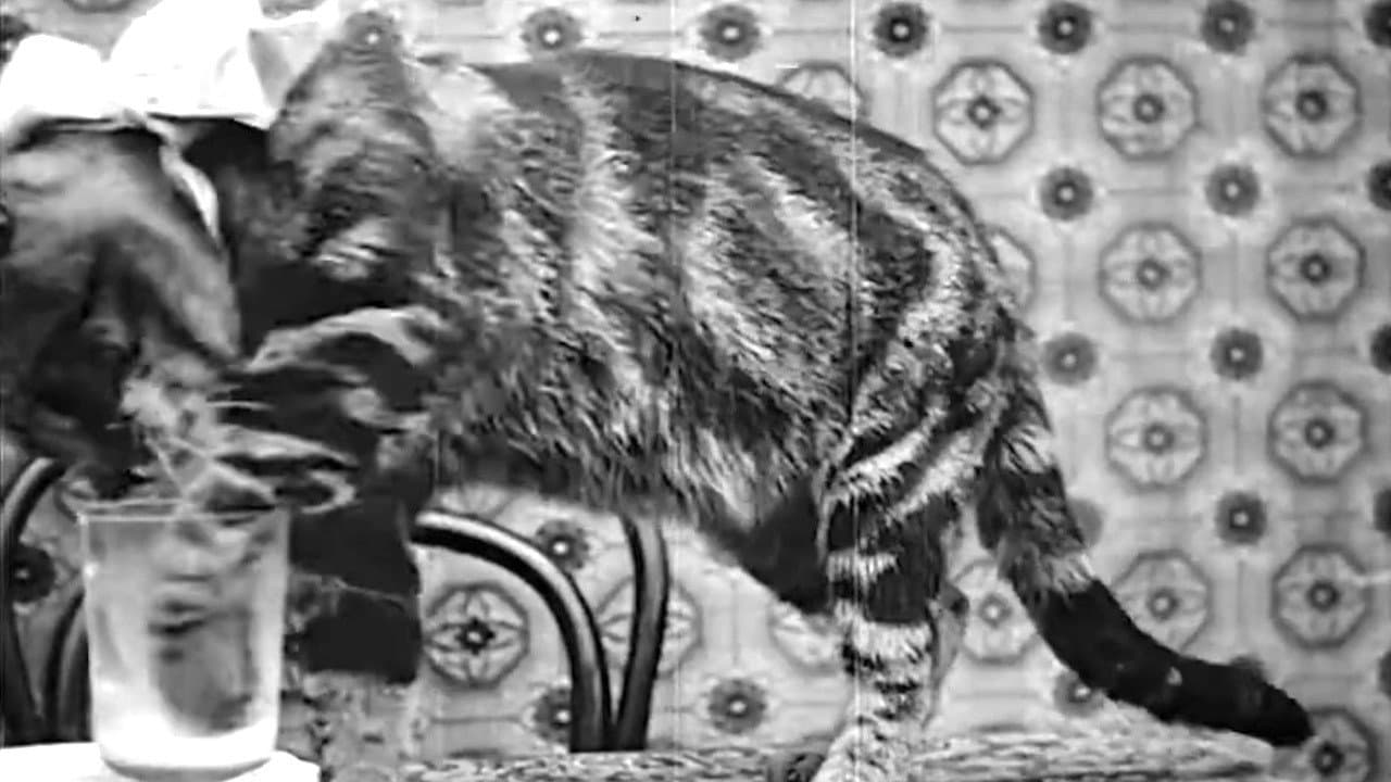 Le Déjeuner de Minet