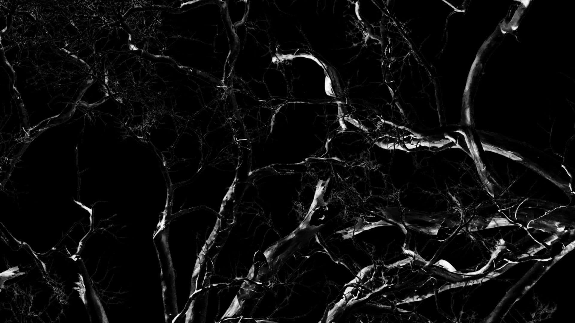 Dreams, Confessions and The End Of The World