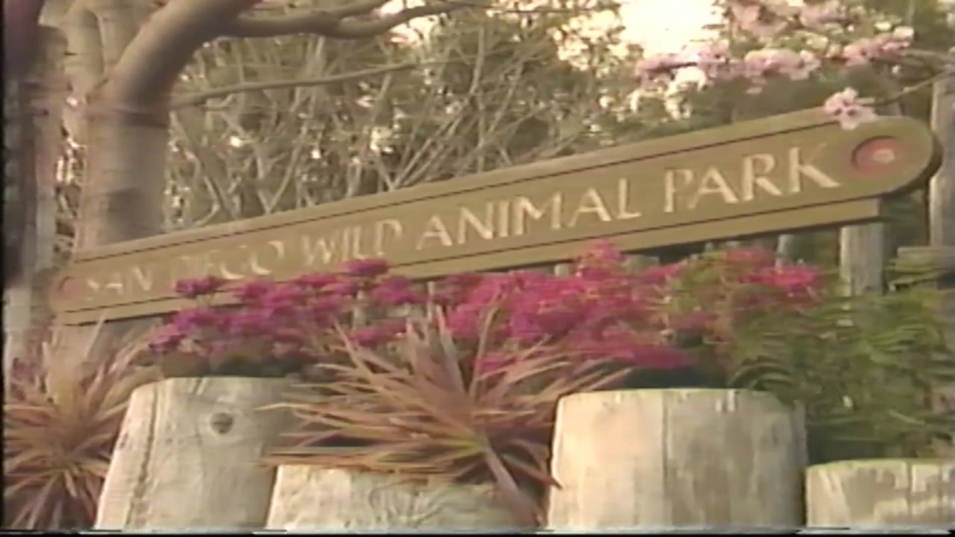 VideoTours: San Diego Wild Animal Park