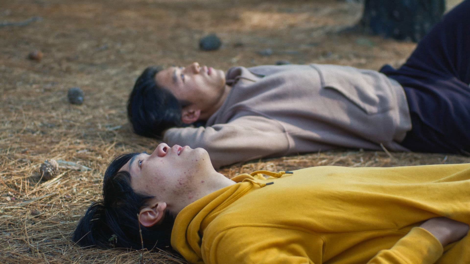 ས་མཐའི་ལས་དབང་།