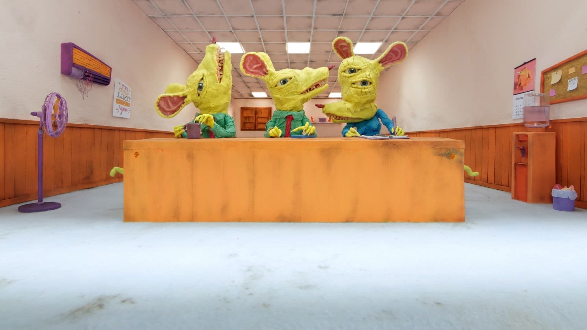 Proceso de selección