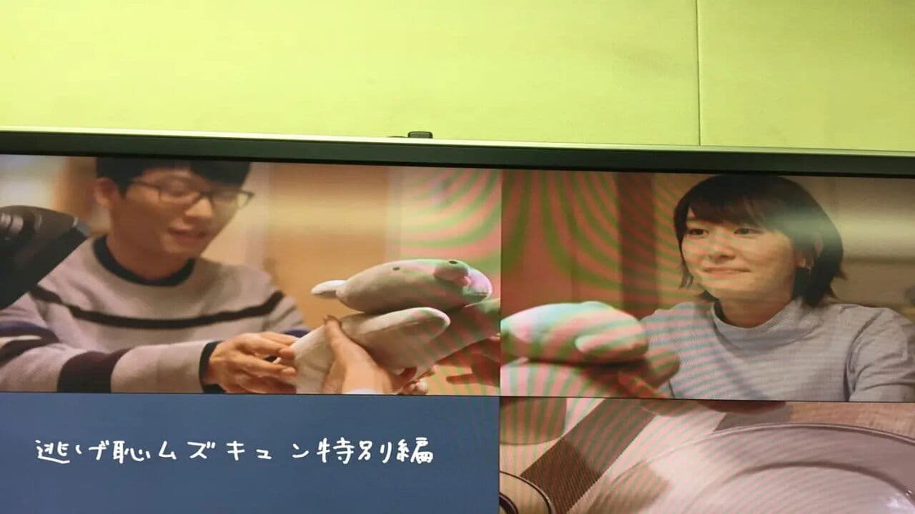 逃げるは恥だが役に立つ ムズキュン!特別編