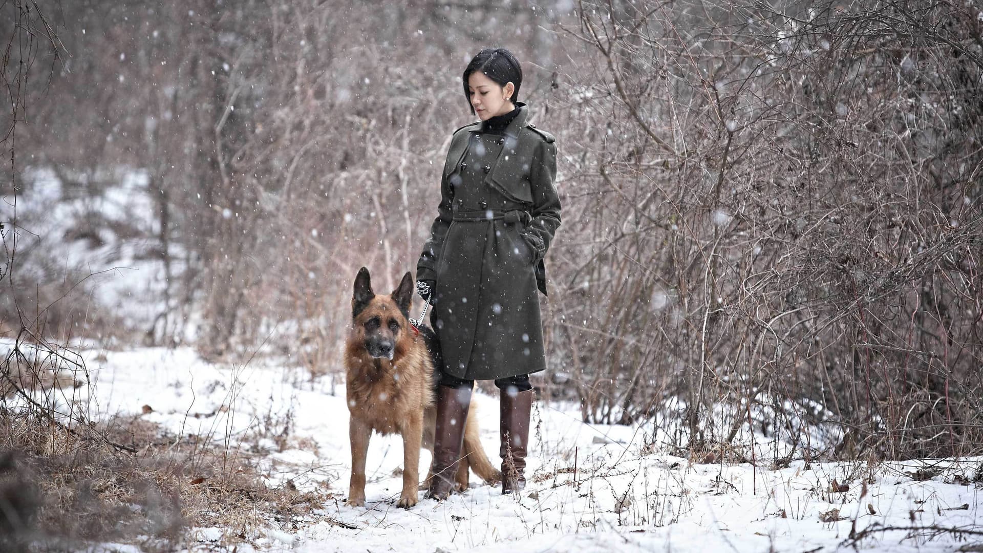 모피를 입은 비너스