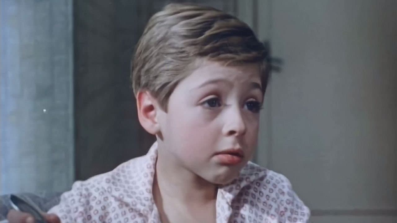 Веселые истории