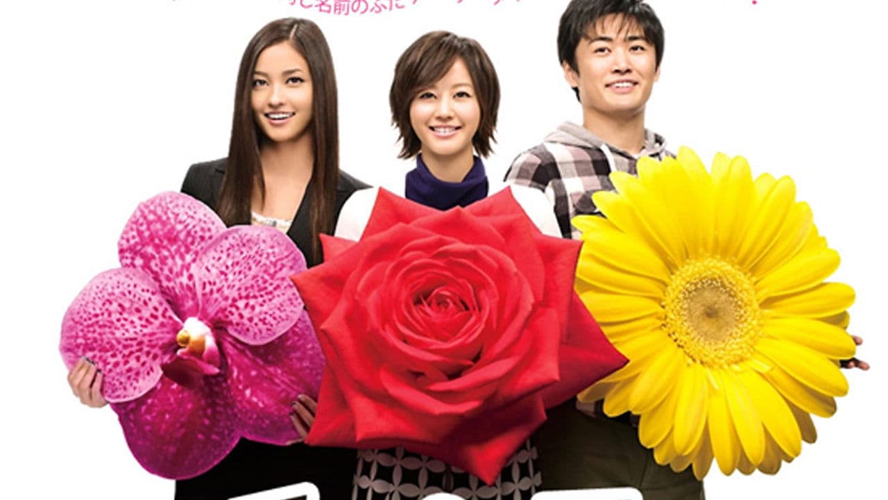 チャンス!〜彼女が成功した理由〜