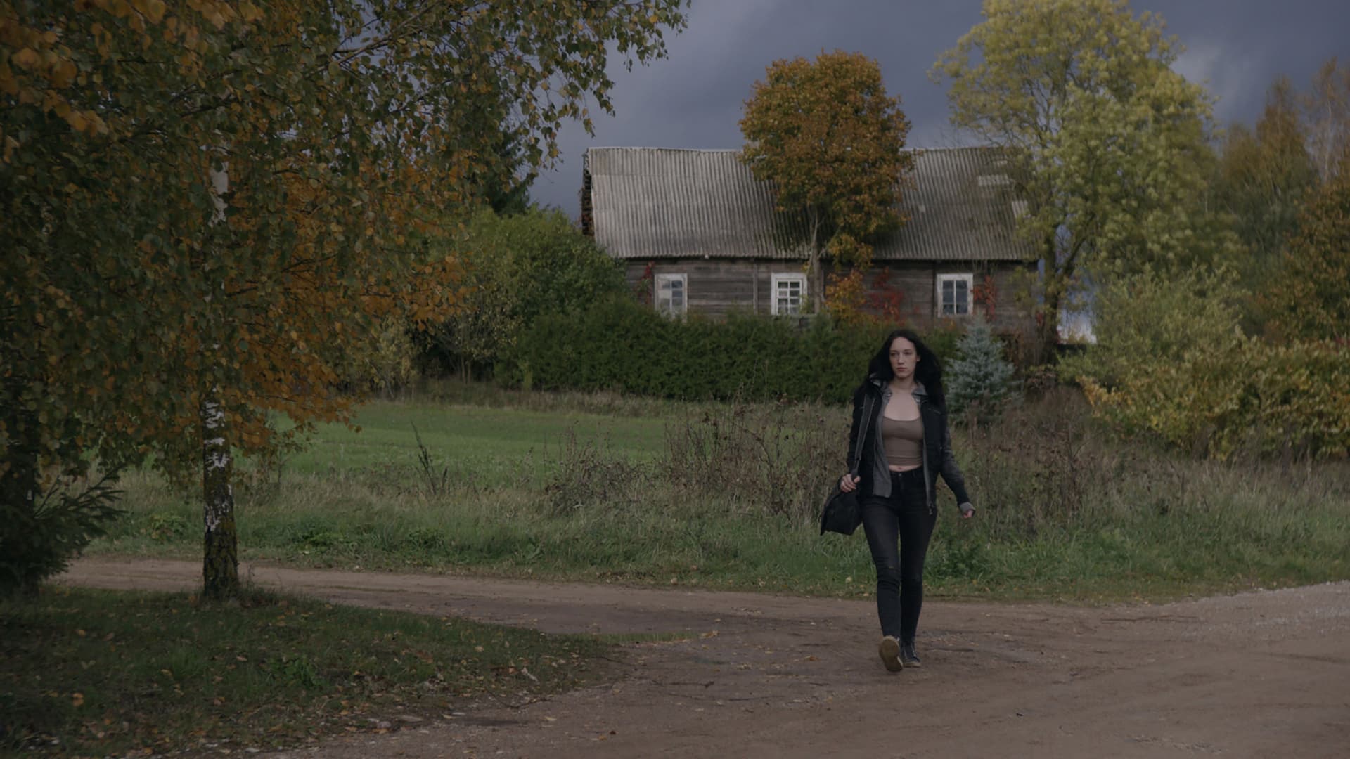 Apsilankymas namuose