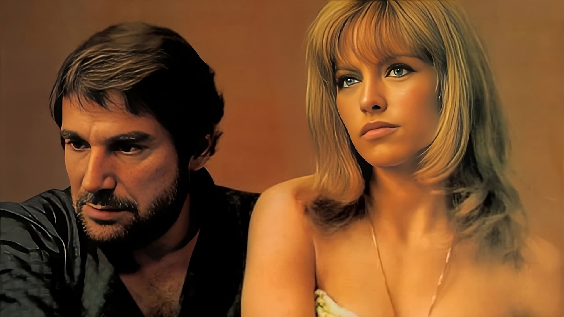 La Leçon particulière