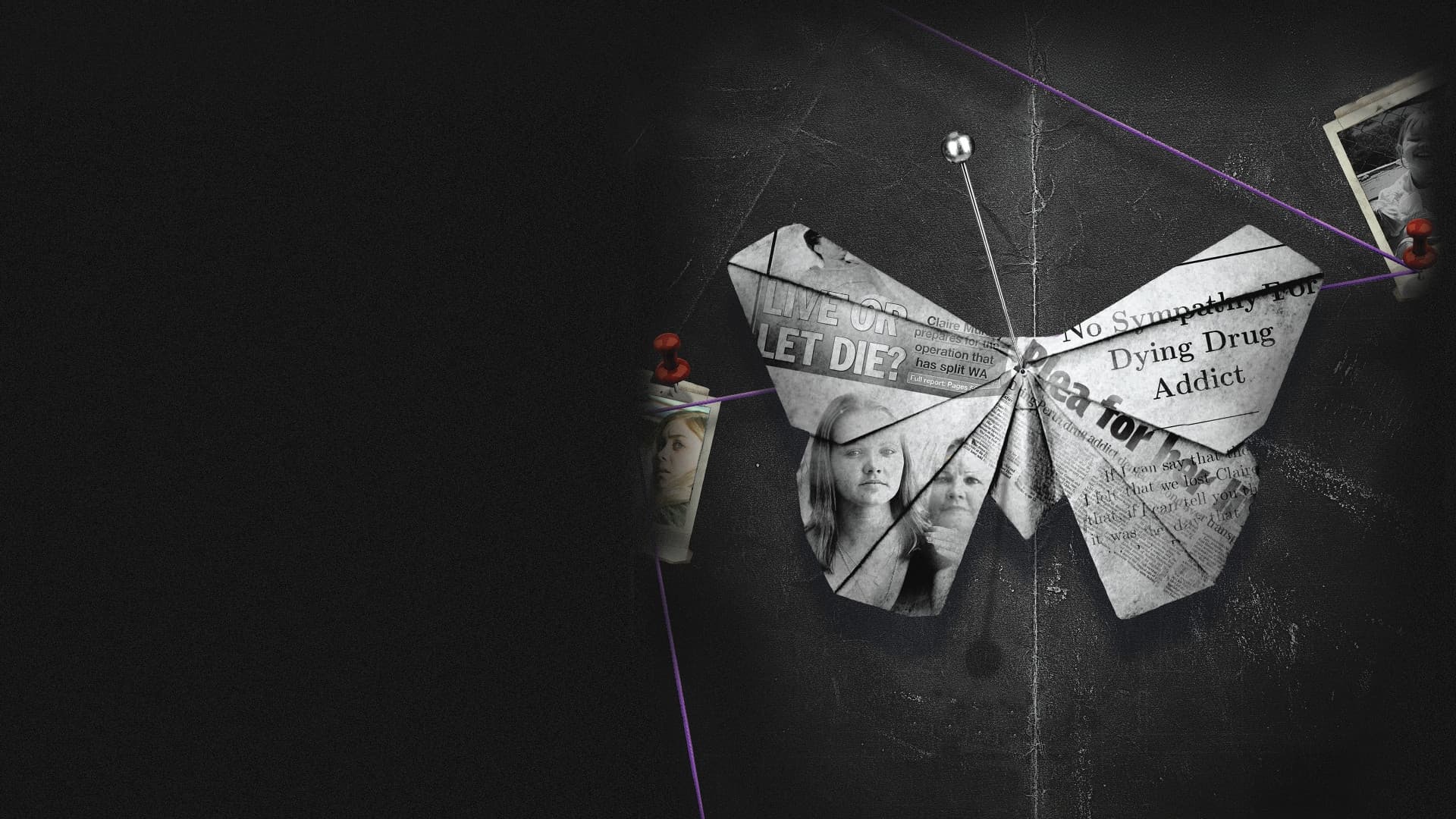 Wild Butterfly