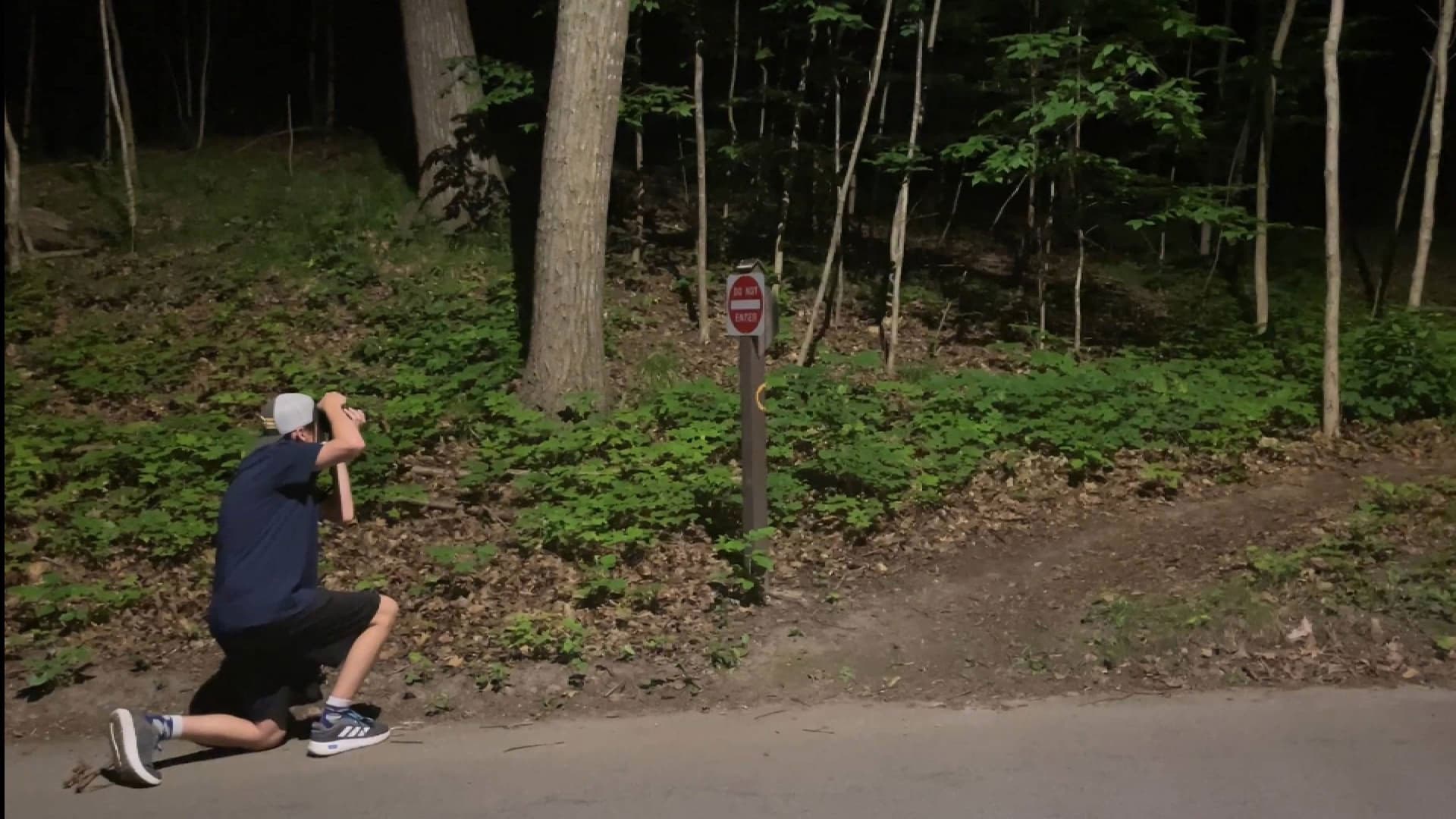 Stabbing in the park