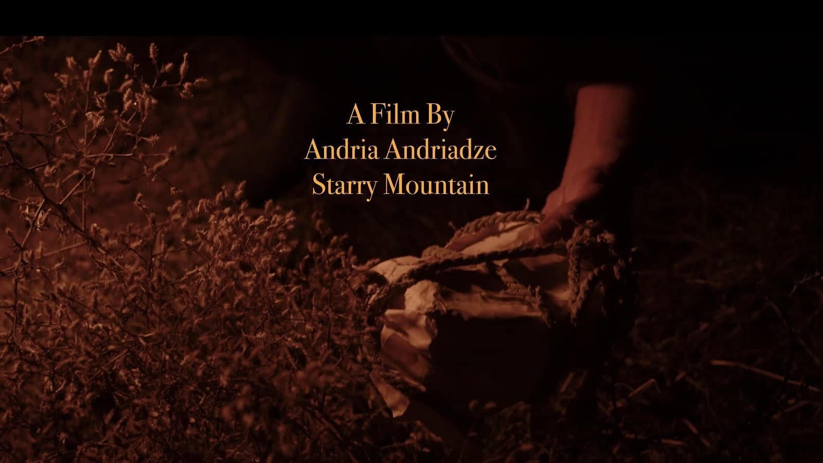 ვარსკვლავებიანი მთა