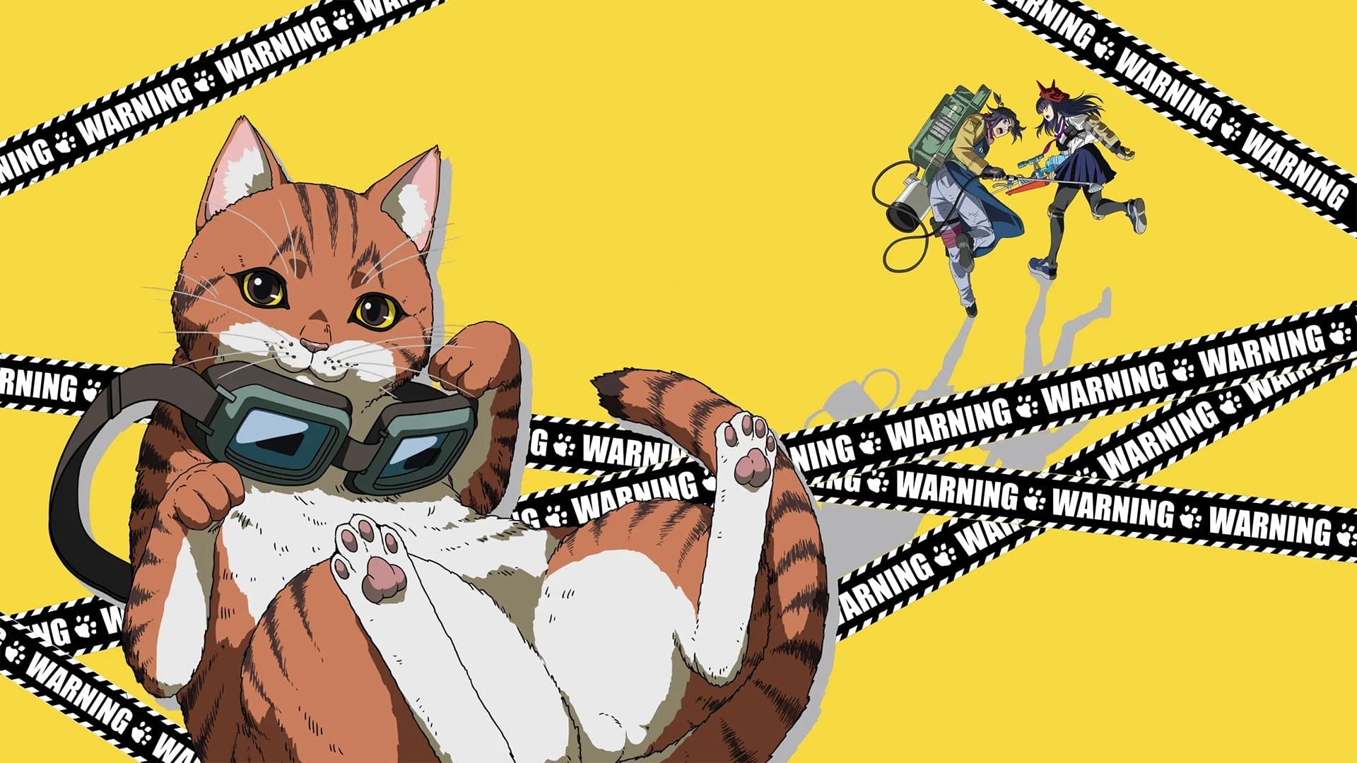 ニャイト・オブ・ザ・リビングキャット