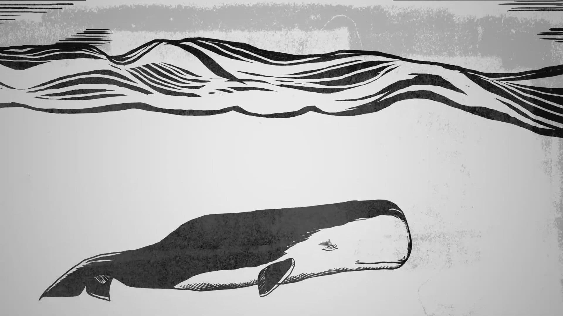 Mit Moby Dick durch Amerika