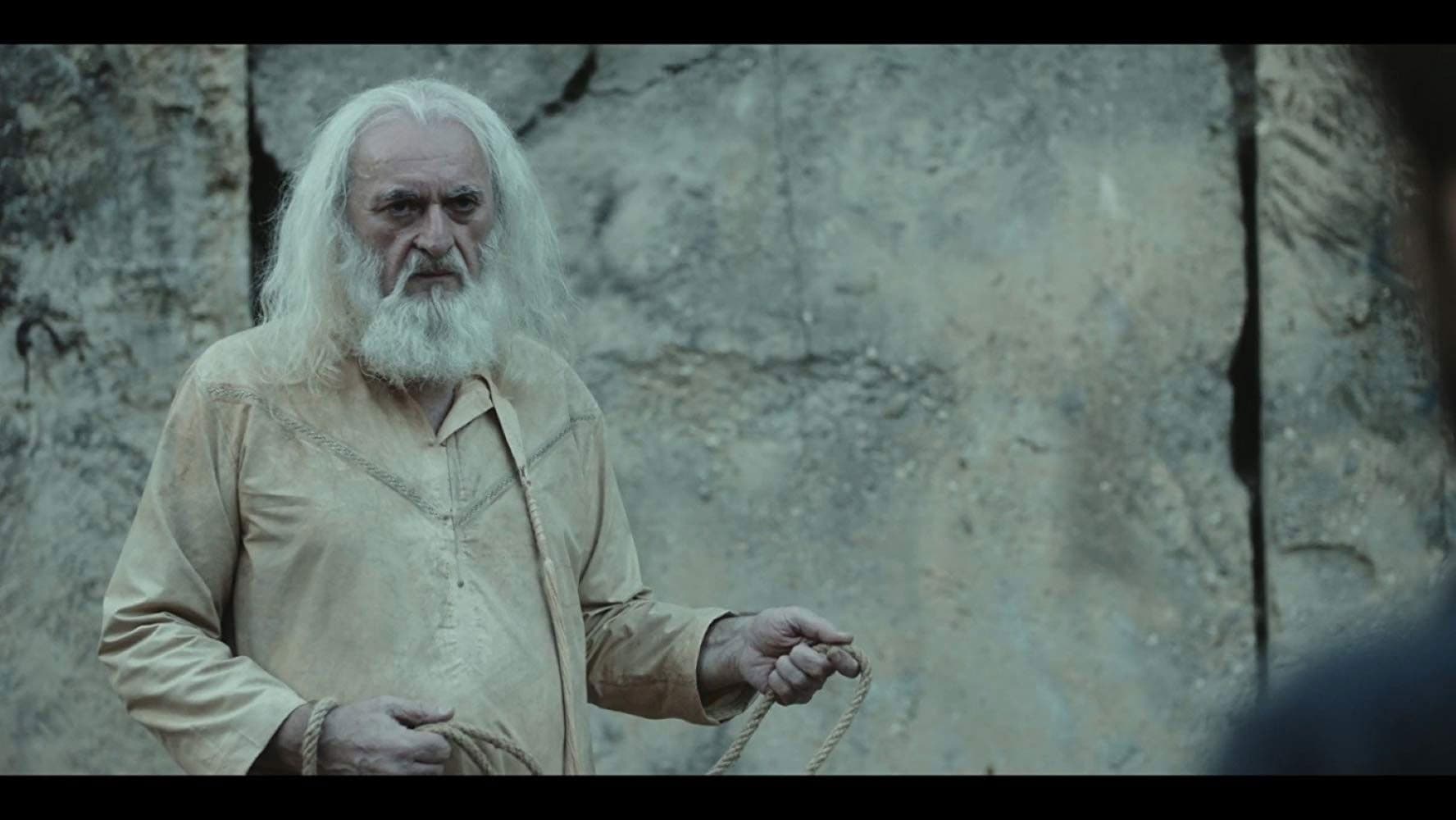 ცხოველი