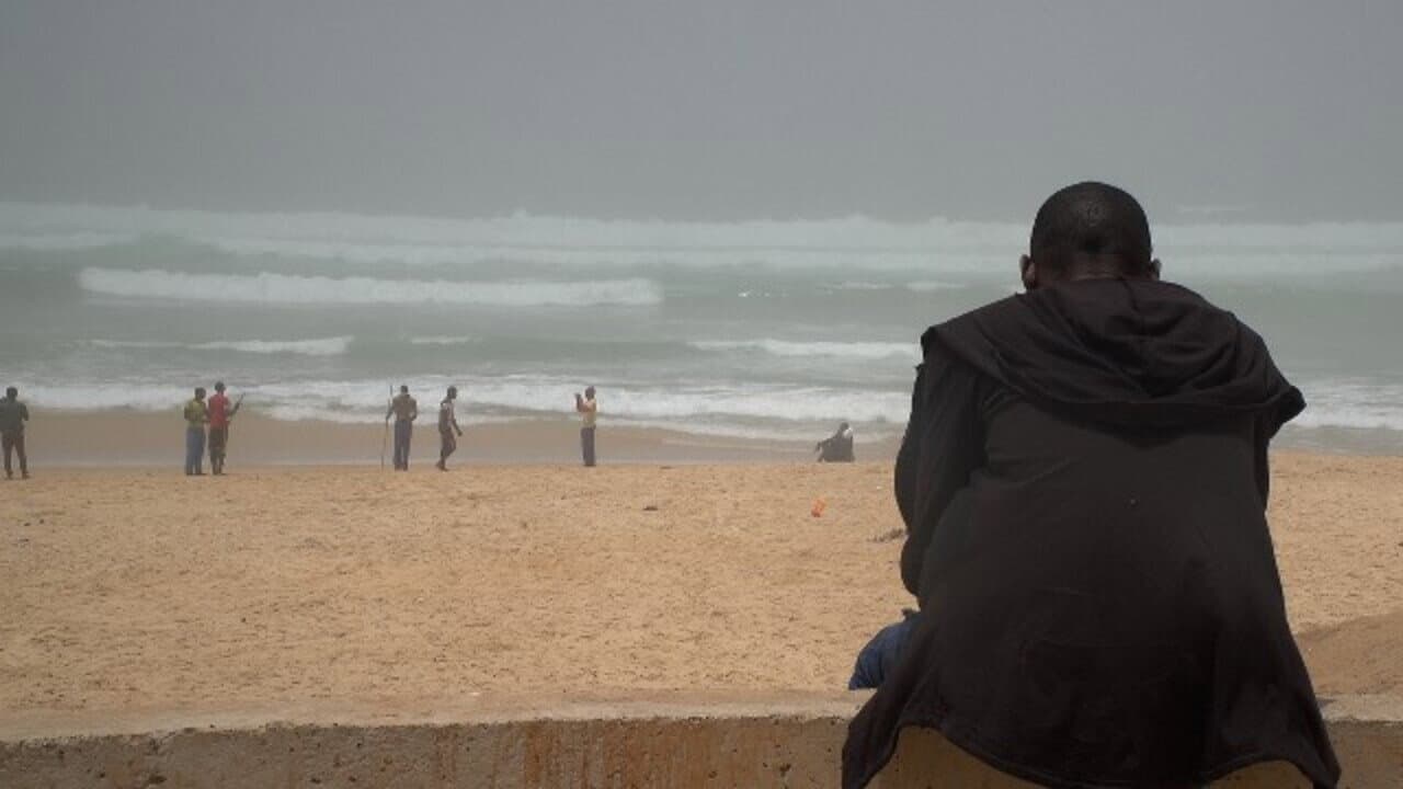 Ils n'ont pas choisi