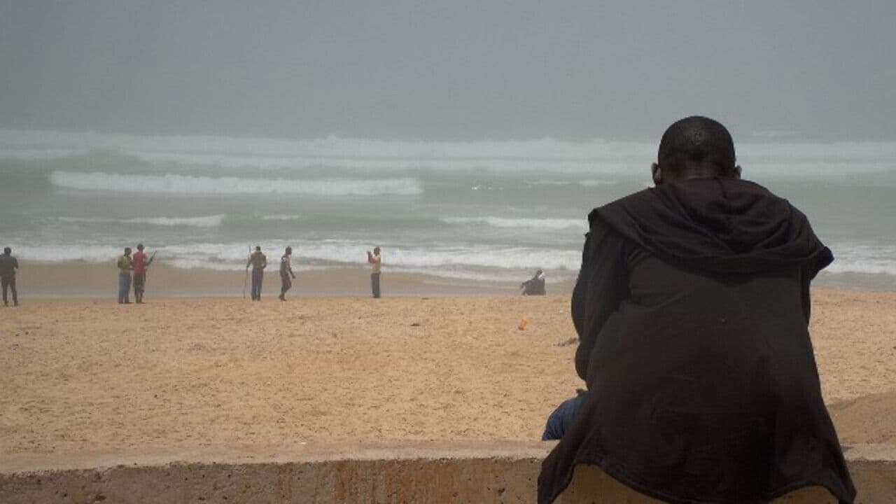 Ils n'ont pas choisi