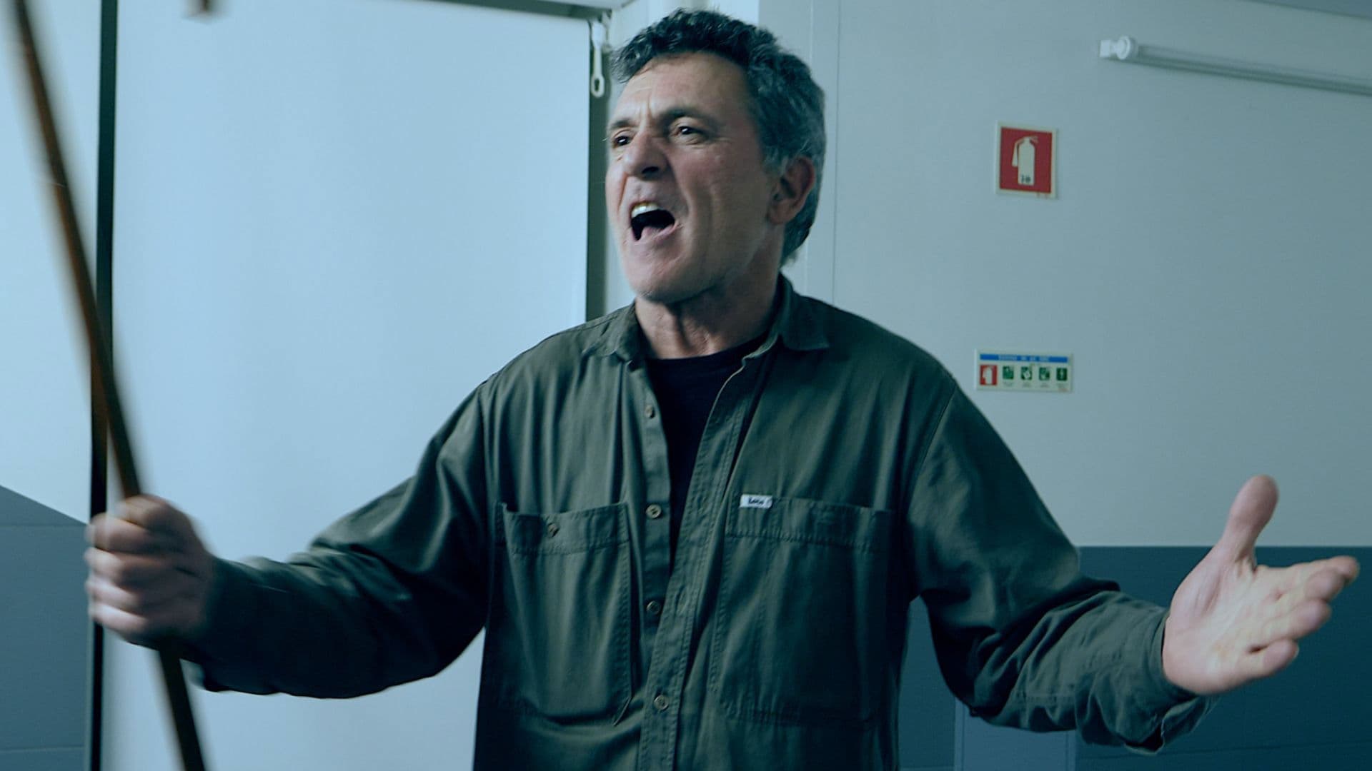 Gatos Com Oito Vidas