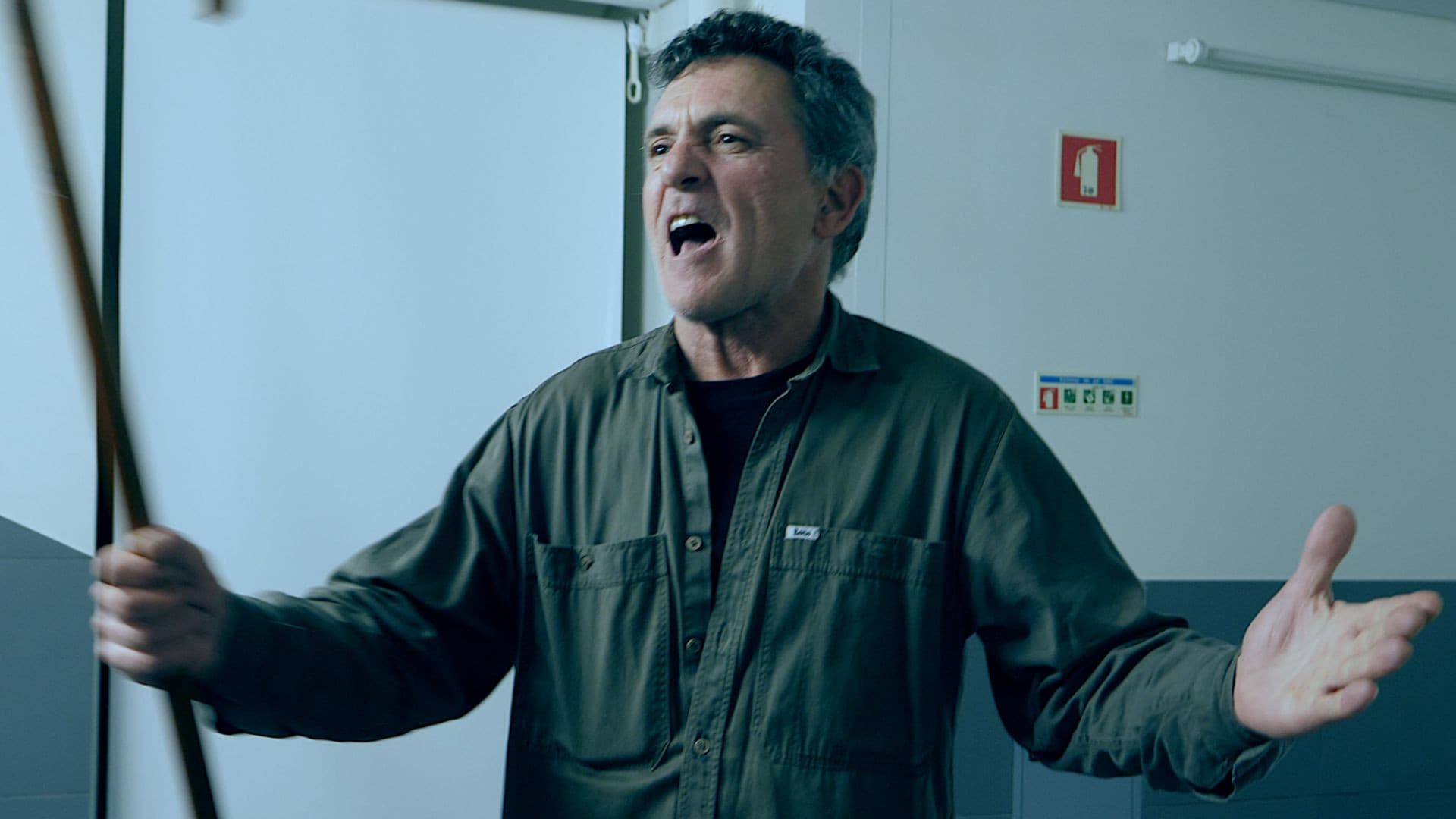 Gatos Com Oito Vidas