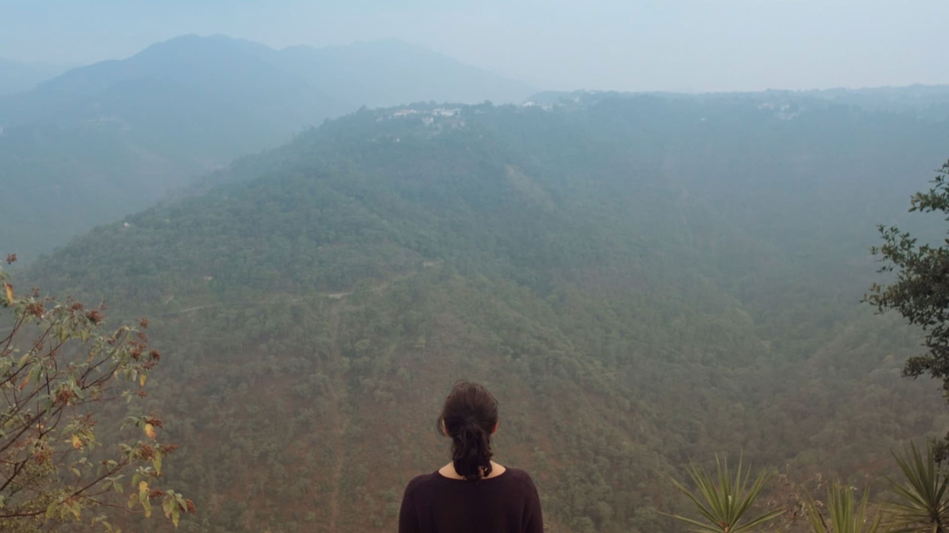 Nadie, ni siquiera la bruma