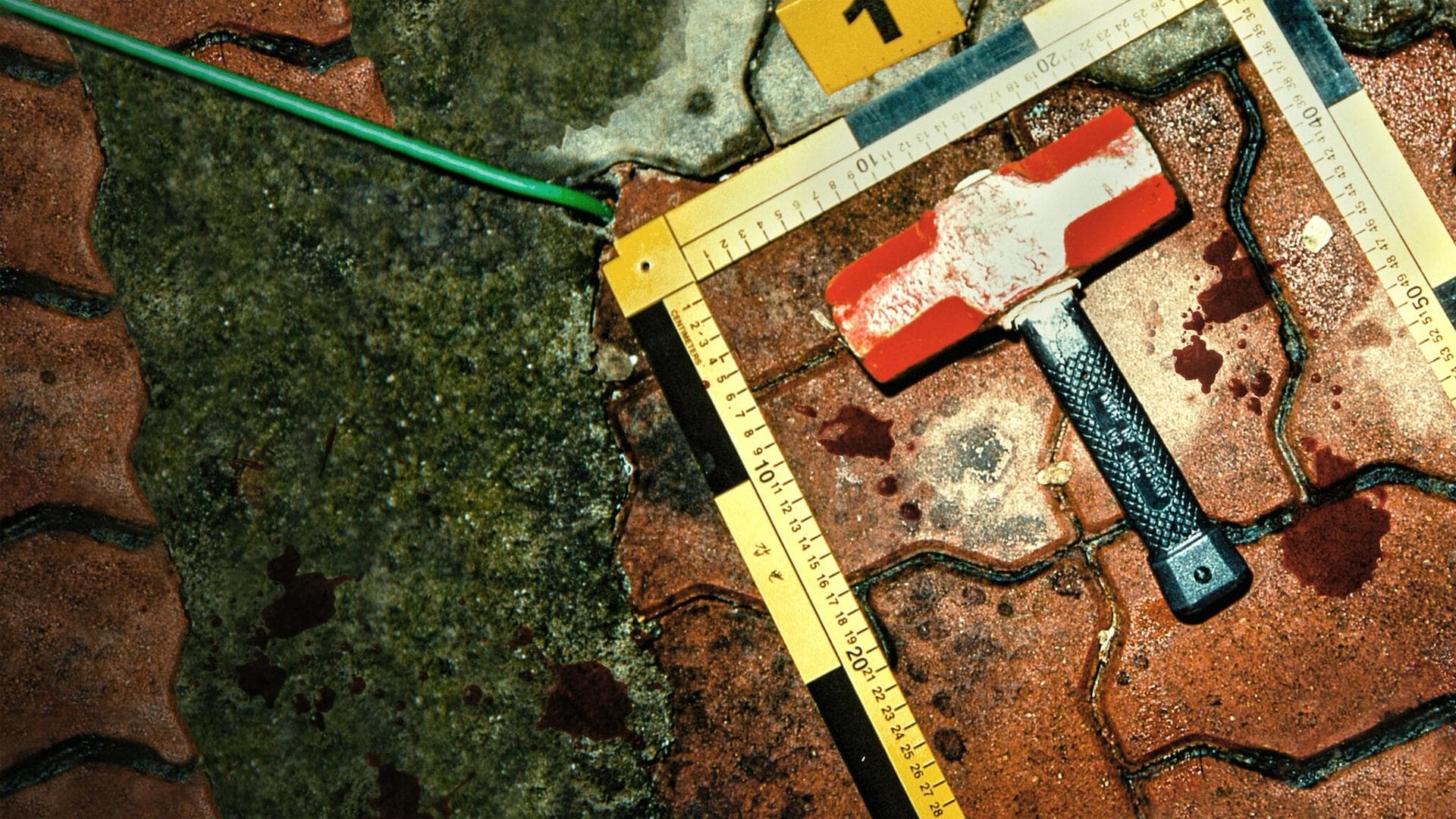 레인코트 킬러: 유영철을 추격하다