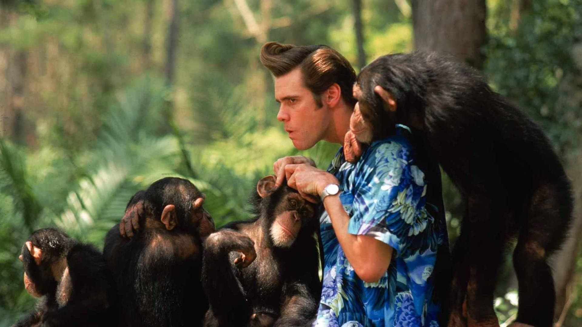Ace Ventura: Un nebun în Africa